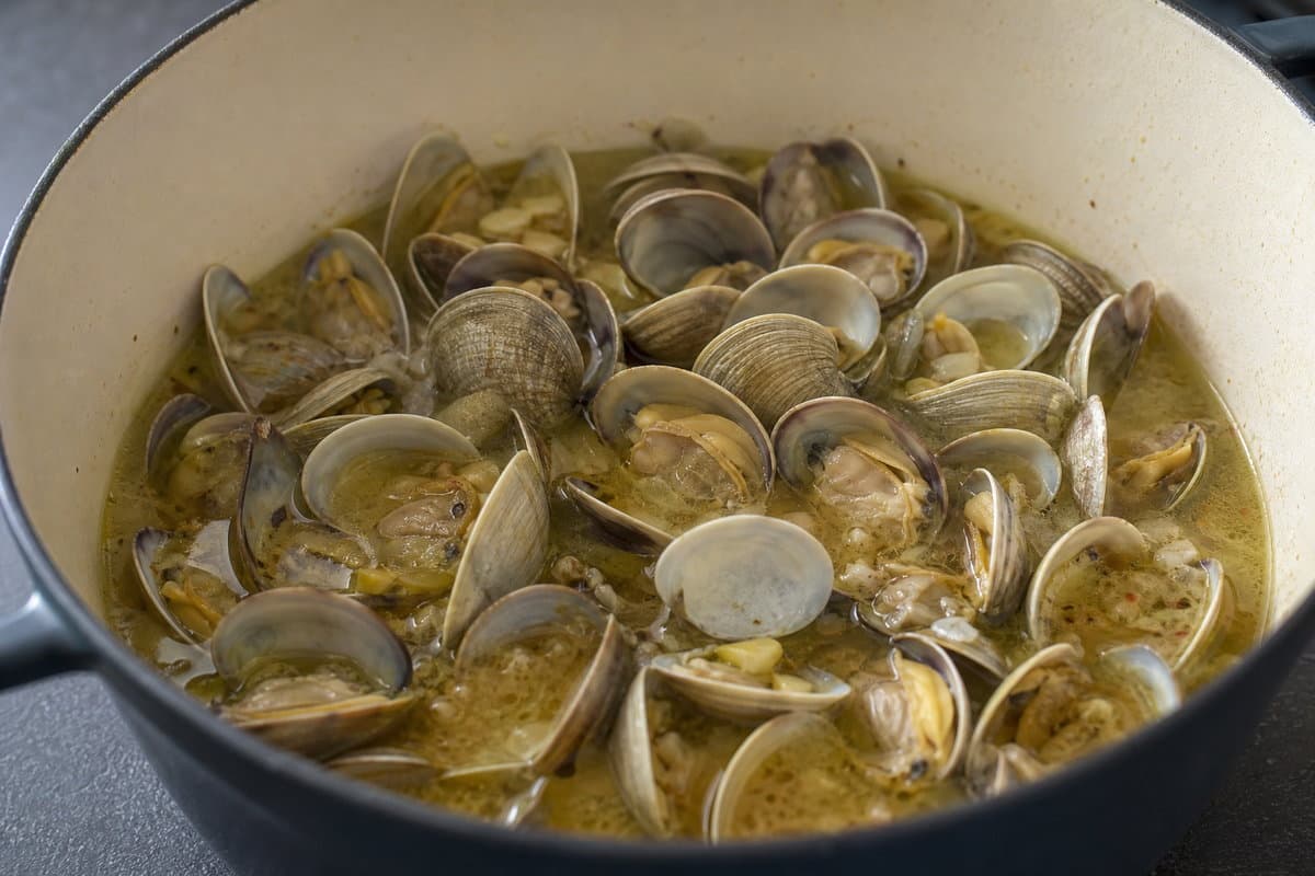 Open the clams